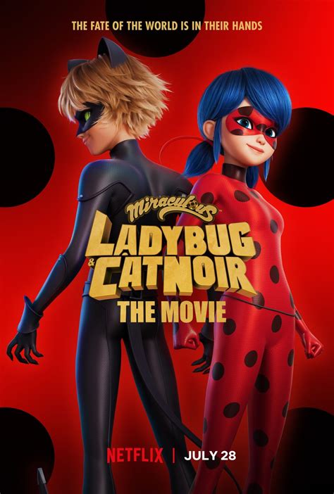 miraculous stagione 5 netflix|Miraculous: Tales of Ladybug & Cat Noir